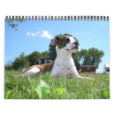 Suche nach tierkalender Tiere