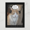 Suche nach niedliches katzenbild poster Kitty