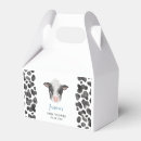 Recherche de vache ballotins Animal de ferme