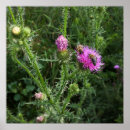 Recherche de vegetation posters Rose