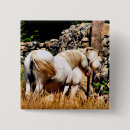 Suche nach ponys buttons Tiere