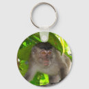 Suche nach monkey schlüsselanhänger Dschungel