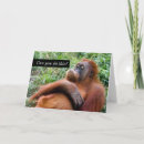 Recherche de orangs outans vœux cartes Singe