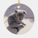 Suche nach perfekte ornamente Hund