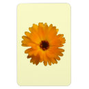 Suche nach orange blüte magnete Blätter