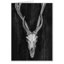 Recherche de crâne de cerfs communs Rustique