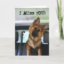 Suche nach lustige schaf karten Hund