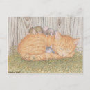 Recherche de sifflet cartes postales Drôle