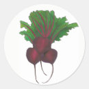 Suche nach wurzel aufkleber Rot