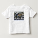 Recherche de satellite tshirts Antarctique