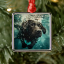 Suche nach unterwasser ornamente Anpassbare hunde produkte
