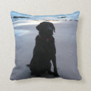 Recherche de labrador noir coussins Chien