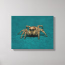 Suche nach große augen leinwandbilder Tiere