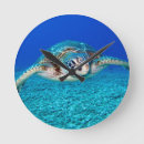 Recherche de vie horloges Tortue de mer