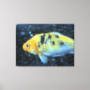 Suche nach goldfisch leinwandbilder Orange