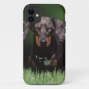 Suche nach dachshund iphone hüllen Tier