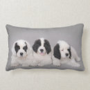 Recherche de terre neuve coussins Blanc