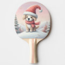 Recherche de basket chapeaux Hiver