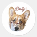 Suche nach pembroke corgi aufkleber Haustier
