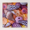 Recherche de coquillages tropicaux puzzles Motif