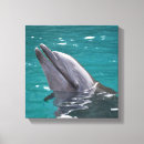 Suche nach delfin leinwandbilder Tier