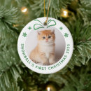 Suche nach katzen ornamente Foto