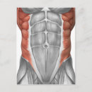 Recherche de tendon cartes postales Représentation humaine