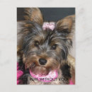 Suche nach yorkie welpen poster Spaß