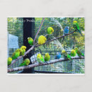 Suche nach birdie poster Blau