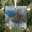 Suche nach unter glas ornamente Schnee