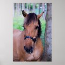 Suche nach norwegisches poster Fjord