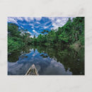 Suche nach tropische regenwald postkarten Landschaft
