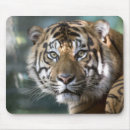 Suche nach der tigris mousepads Tiger