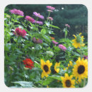 Recherche de cosmos rose autocollants Jardin
