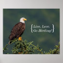 Suche nach vogelkunde poster Vogelbeobachtung