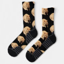 Recherche de chat chaussettes Pour lui