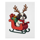 Suche nach shih tzu hunde poster Weimaraner