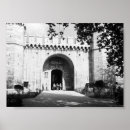 Suche nach topkapi poster Truthühner