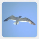 Recherche de oiseaux de mer autocollants Faune