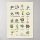 Recherche de plantes vertes posters Tendance