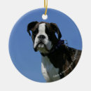 Suche nach monate ornamente Hund