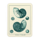 Suche nach rotes meer magnete Ozean