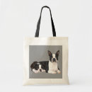 Suche nach boston terrier taschen Welpe