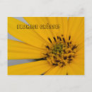 Recherche de fotografie poster Fleurs