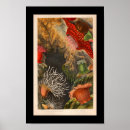 Suche nach red sea poster Meer