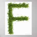 Suche nach kresse poster Frische