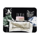 Recherche de cat magnets J'aime les chats