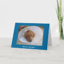 Suche nach retriever karten Liebe