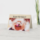 Suche nach yorkie hund karten Yorkshire terrier