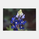 Recherche de texas bluebonnet Bleuets